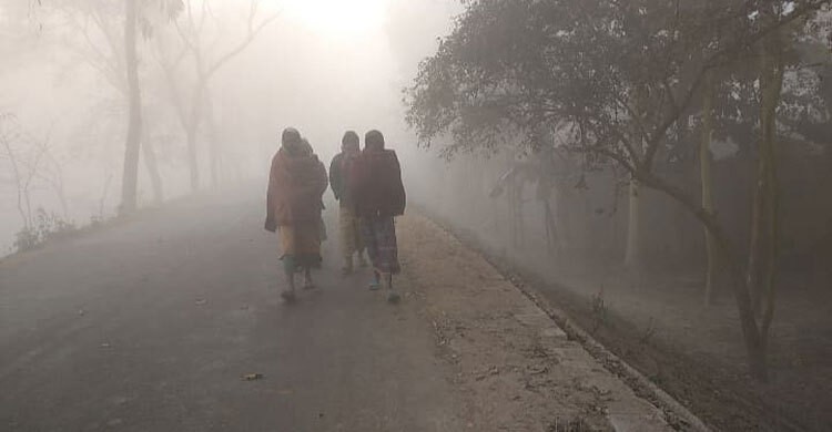 শৈত্যপ্রবাহ নিয়ে যা জানালো আবহাওয়া অফিস