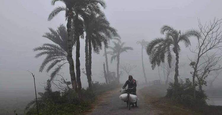 শীত কমেছে, আরও কমতে পারে