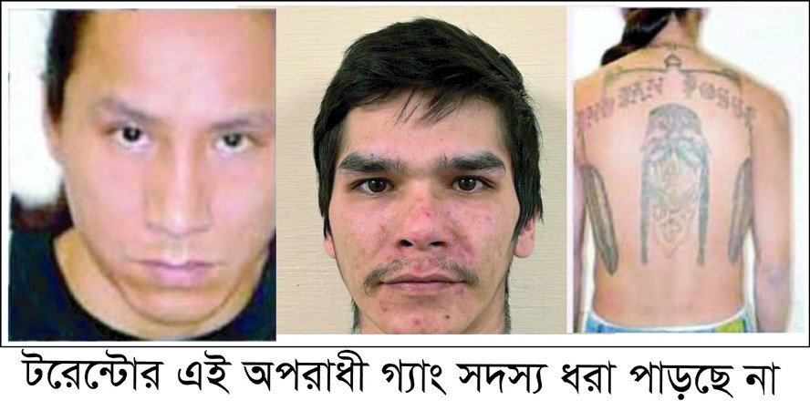 টরন্টোতে বাংলাদেশি শিক্ষার্থী হত্যার ঘটনায় অপরাধীরা ধরা পড়ছে না