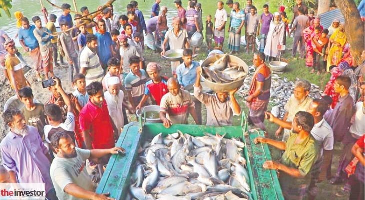 দুর্বৃত্তদের তাণ্ডবে কুষ্টিয়া ও বগুড়ায় দুই খামারে লাখো টাকার ক্ষতি