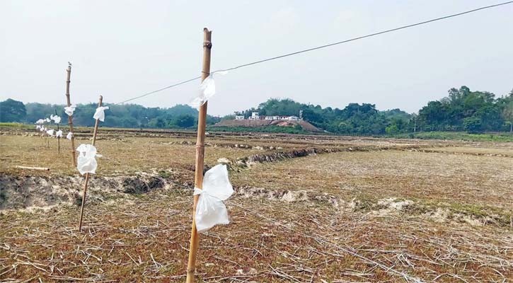 হাতির আক্রমণে মৃত্যু কৃষকের, তারই ফাঁদে প্রাণ গেল সঙ্গী হাতির