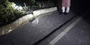 গভীর রাতে নেত্রকোনা-কেন্দুয়া সড়কে গাছ ফেলে ডাকাতি, আহত ৪
