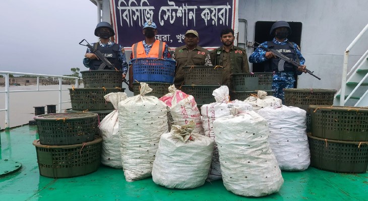খুলনার কয়রায় ৭৩০ কেজি কাঁকড়াসহ পরিত্যক্ত ট্রলার জব্দ