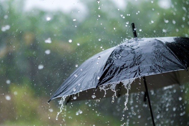 পটুয়াখালীতে নিম্নচাপের প্রভাবে বৃষ্টি, বেড়েছে শীতের তীব্রতা